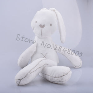 Lovely Bunny Rabbit and Teddy Bear Stuffed & Plush Toys Sleeping Companions